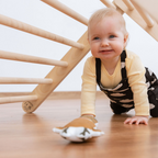 SIPITRI® 2 Segment Climbing Triangle With a Sliding/Climbing Ramp