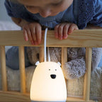 Hanging Night Light with Remote