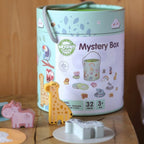 Mystery Box Touch and Match